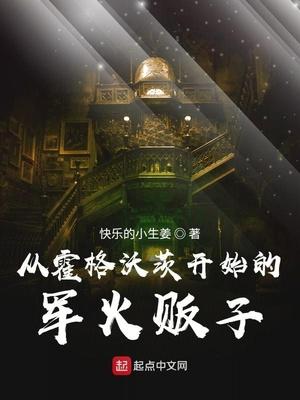 从霍格沃兹贩卖军火