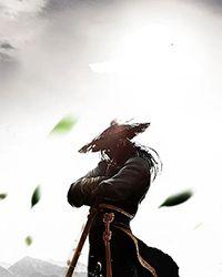 红楼林家子林夕